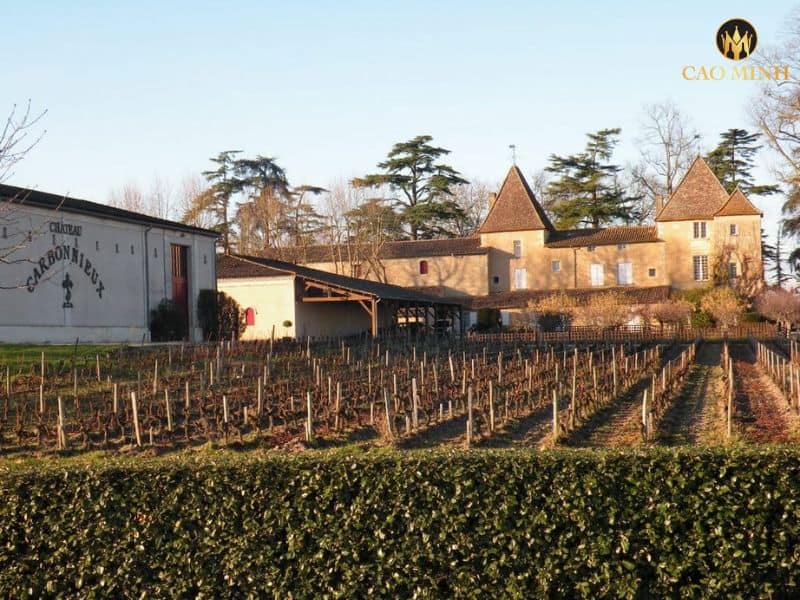 Tìm hiểu về Château Carbonnieux - Nhà sản xuất rượu vang hàng đầu tại Bordeaux