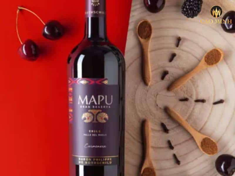 Nếm thử hương vị tuyệt vời của chai rượu vang Baron Philippe de Rothschild Mapu Gran Reserva Carmenere