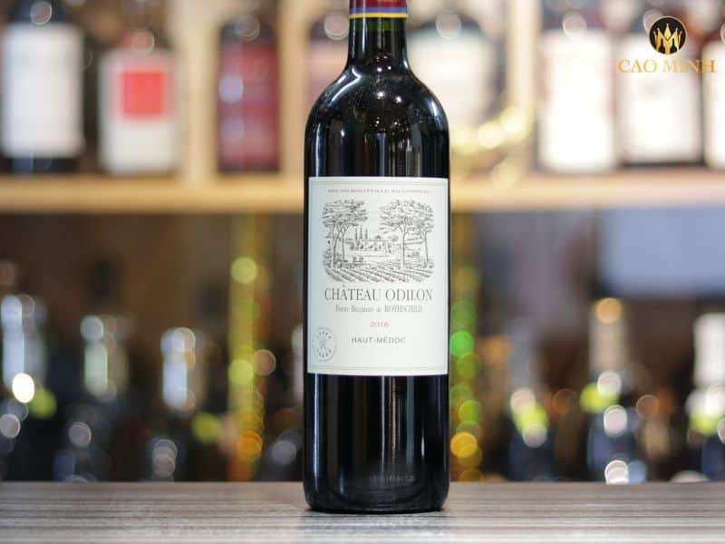 Nếm thử hương vị tuyệt vời của chai rượu vang Château Odilon