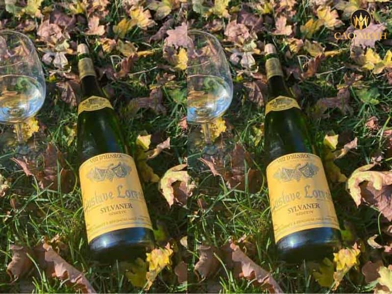 Nếm thử hương vị tuyệt vời của chai rượu vang Gustave Lorentz Alsace Sylvaner Reserve