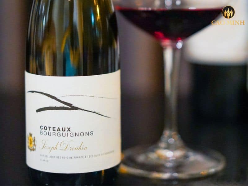 Nếm thử hương vị tuyệt vời của chai rượu vang Joseph Drouhin Côteaux Bourguignons