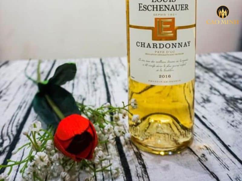 Nếm thử hương vị tuyệt vời của chai rượu vang Louis Eschenauer Chardonnay