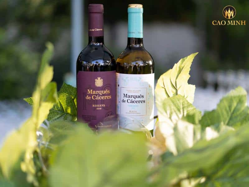 Nếm thử hương vị tuyệt vời của chai rượu vang Marques de Caceres Reserva Rioja