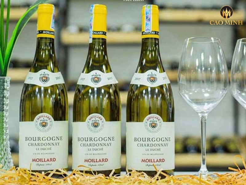 Nếm thử hương vị tuyệt vời của chai rượu vang Moillard Bourgogne Chardonnay