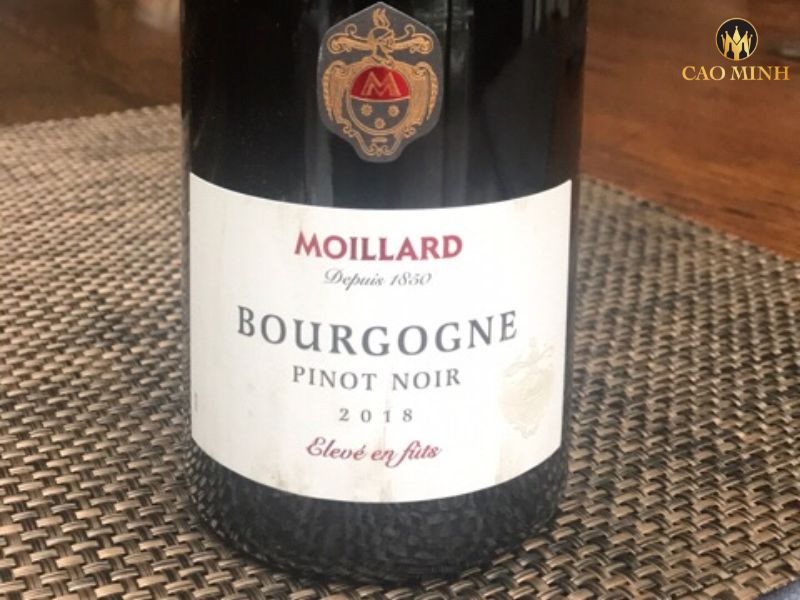 Nếm thử hương vị tuyệt vời của chai rượu vang Moillard Bourgogne Pinot Noir Eleve En Futs