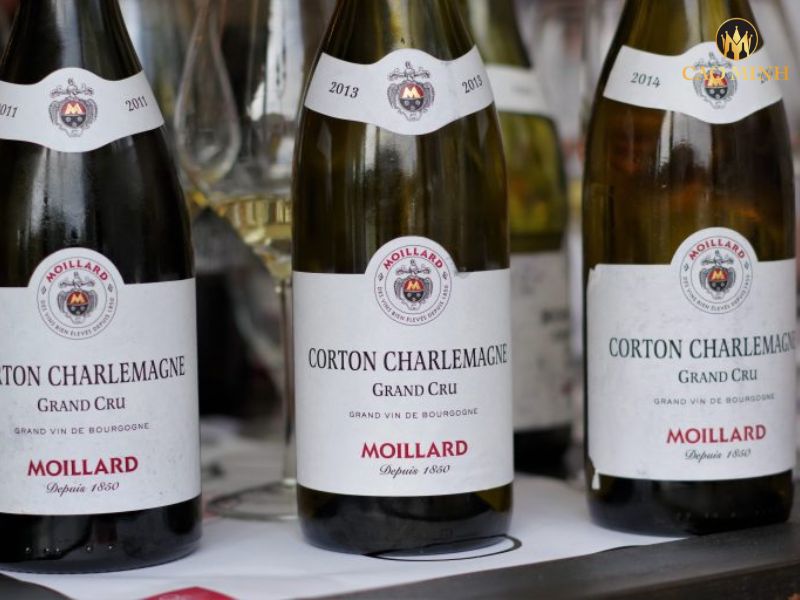 Nếm thử hương vị tuyệt vời của chai rượu vang Moillard Corton Charlemagne Grand Cru