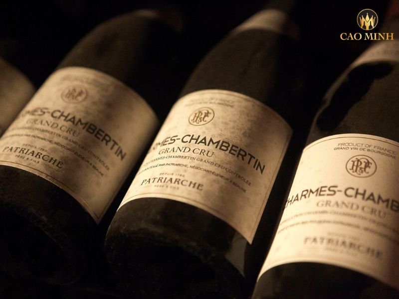 Nếm thử hương vị tuyệt vời của chai rượu vang Patriarche Charmes Chambertin Grand Cru