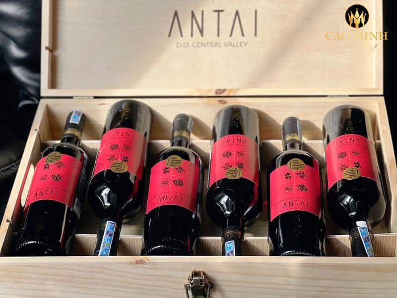 Rượu vang Chile Antai Cabernet Sauvignon – Đẳng cấp mang tầm quốc tế của chai vang Chile