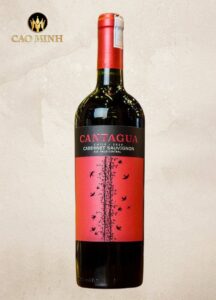 Rượu Vang Chile Cantagua Cabernet Sauvignon