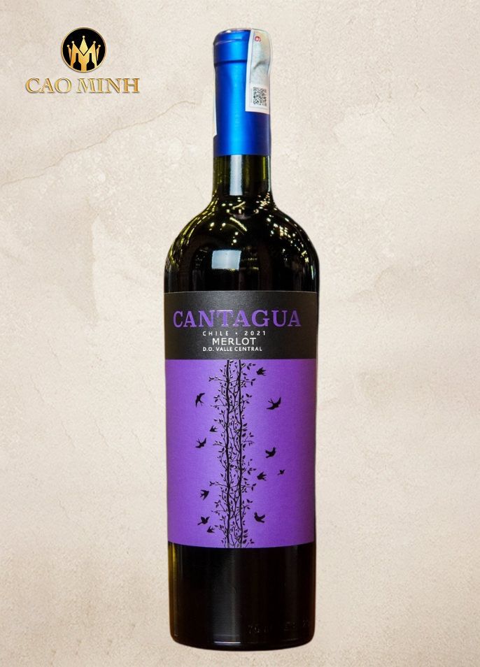 Rượu Vang Chile Cantagua Merlot