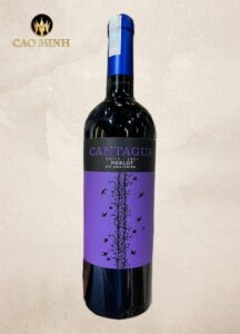 Rượu Vang Chile Cantagua Merlot