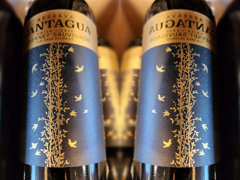 Rượu vang Chile Cantagua Reserva Cabernet Sauvignon - đẳng cấp vượt tầm quốc tế của chai vang Chile