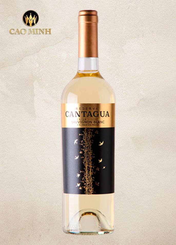 Rượu vang Chile Cantagua Reserva Sauvignon Blanc