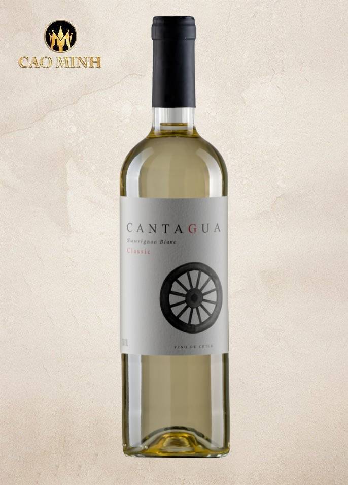 Rượu vang Chile Cantagua Sauvignon Blanc