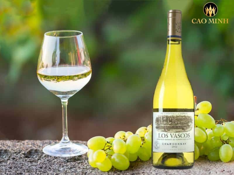 Domaines Barons de Rothschild (Lafite) Los Vascos Chardonnay - Vang trắng có tiếng trong thị trường rượu vang