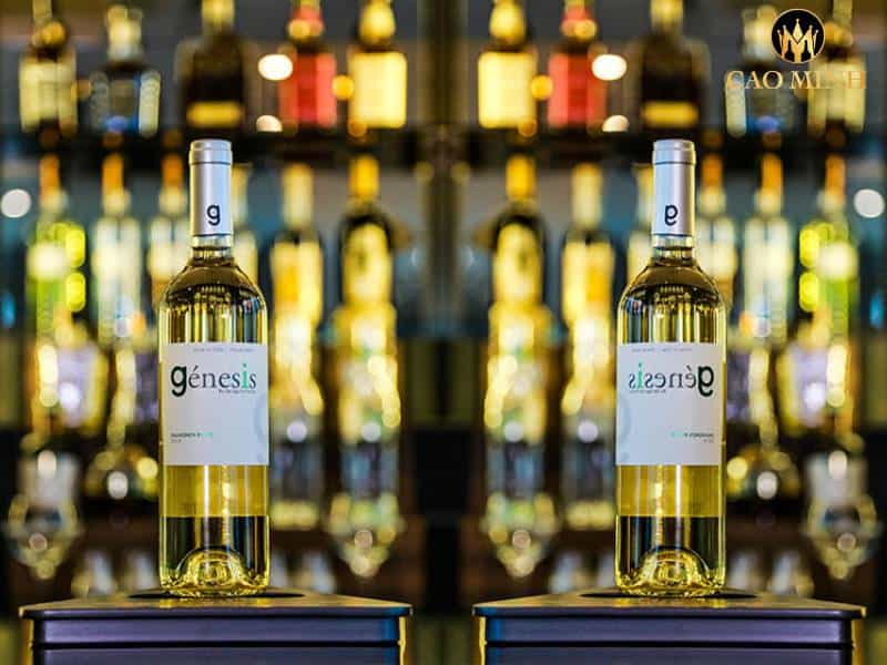 Tìm hiểu hương vị của rượu vang Chile Genesis Sauvignon Blanc