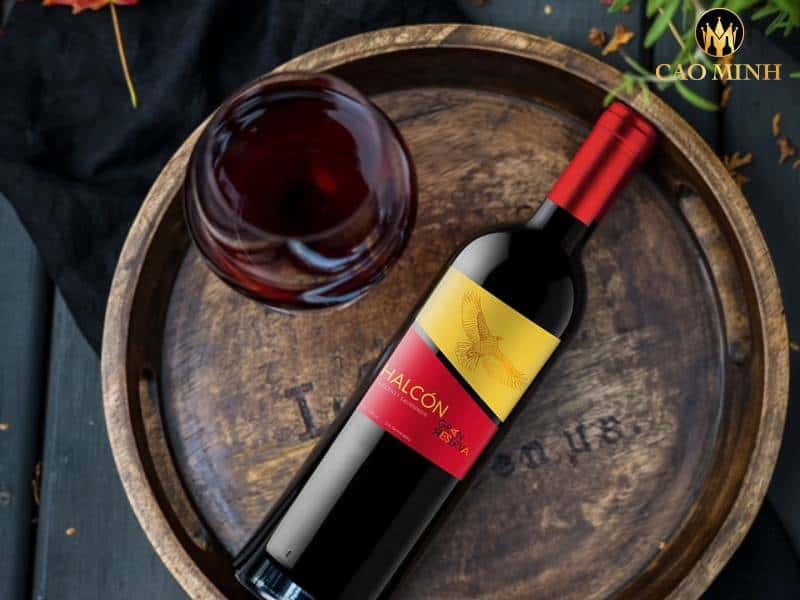 Tìm hiểu hương vị của rượu vang Chile Halcon Single Vineyards Cabernet Sauvignon