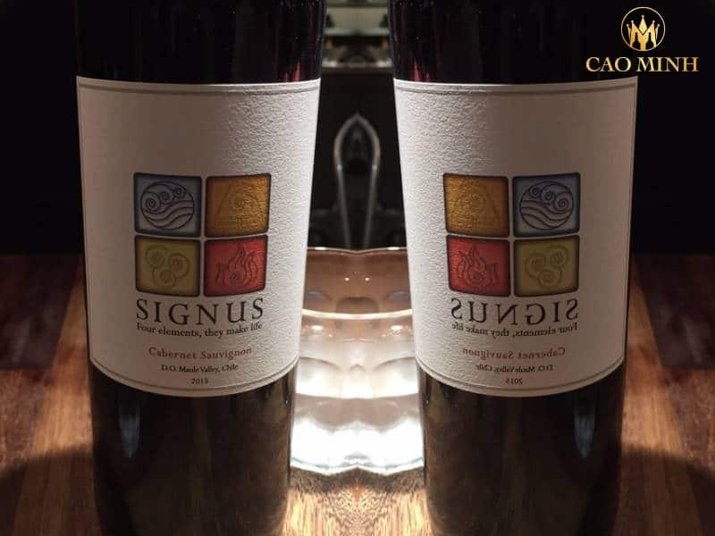Rượu vang Chile Signus Cabernet Sauvignon – Chai vang khác biệt đi cùng với hương vị đặc biệt