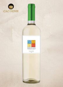 Rượu vang Chile Signus Sauvignon Blanc