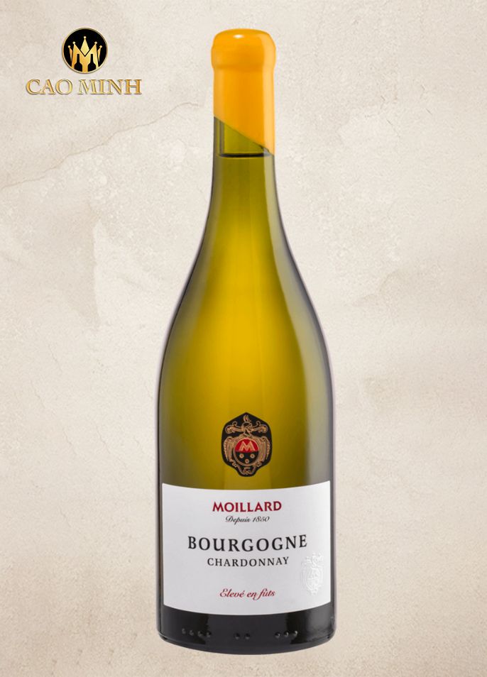 Rượu Vang Pháp Moillard Bourgogne Chardonnay Eleve En Futs
