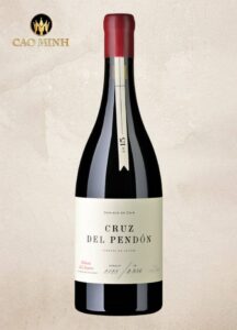 Rượu Vang Tây Ban Nha Cruz Del Pendón 2015