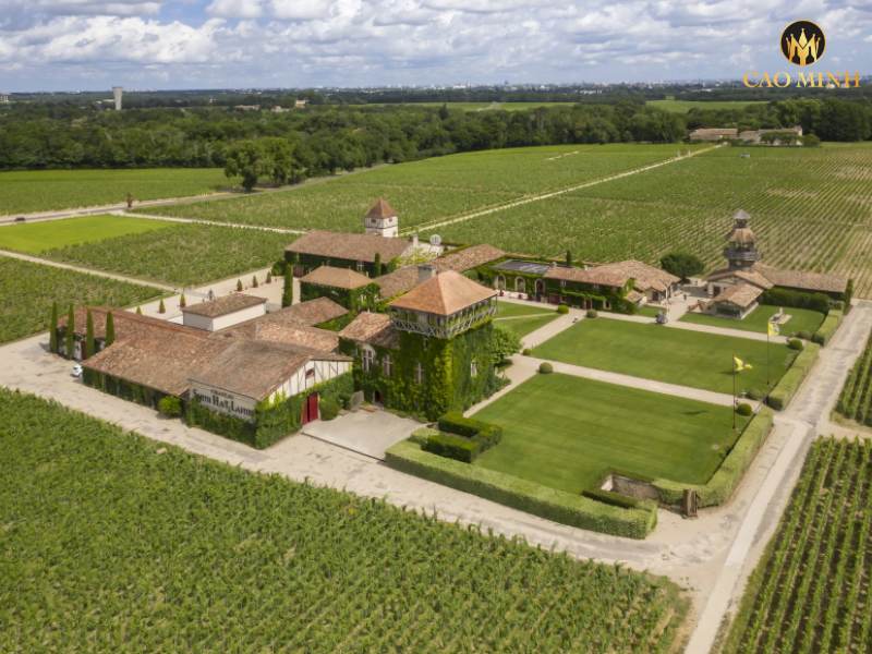 Đôi nét về nhà làm vang Chateau Smith Haut Lafitte - Nơi tạo nên những chai rượu vang đỏ Bordeaux xuất sắc