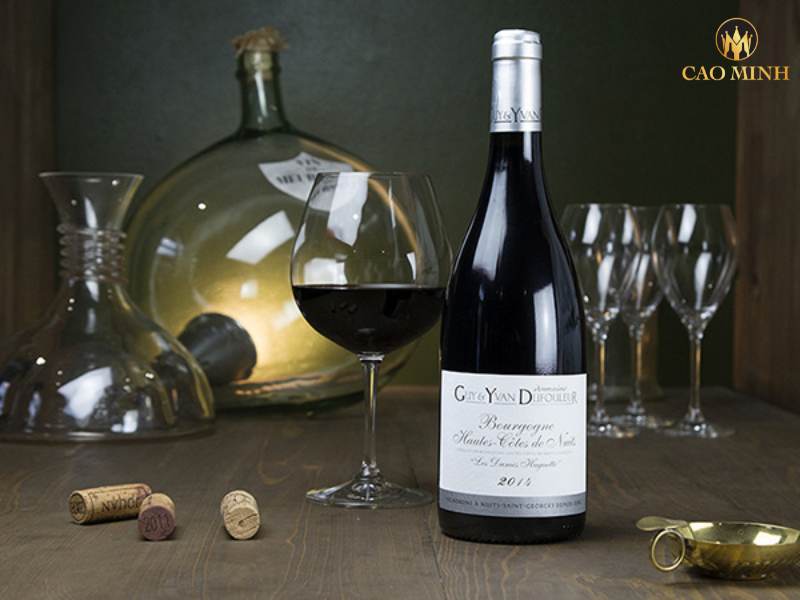 Nếm thử hương vị tuyệt vời của chai rượu vang Domaine Guy & Yvan Dufouleur Les Dames Huguette