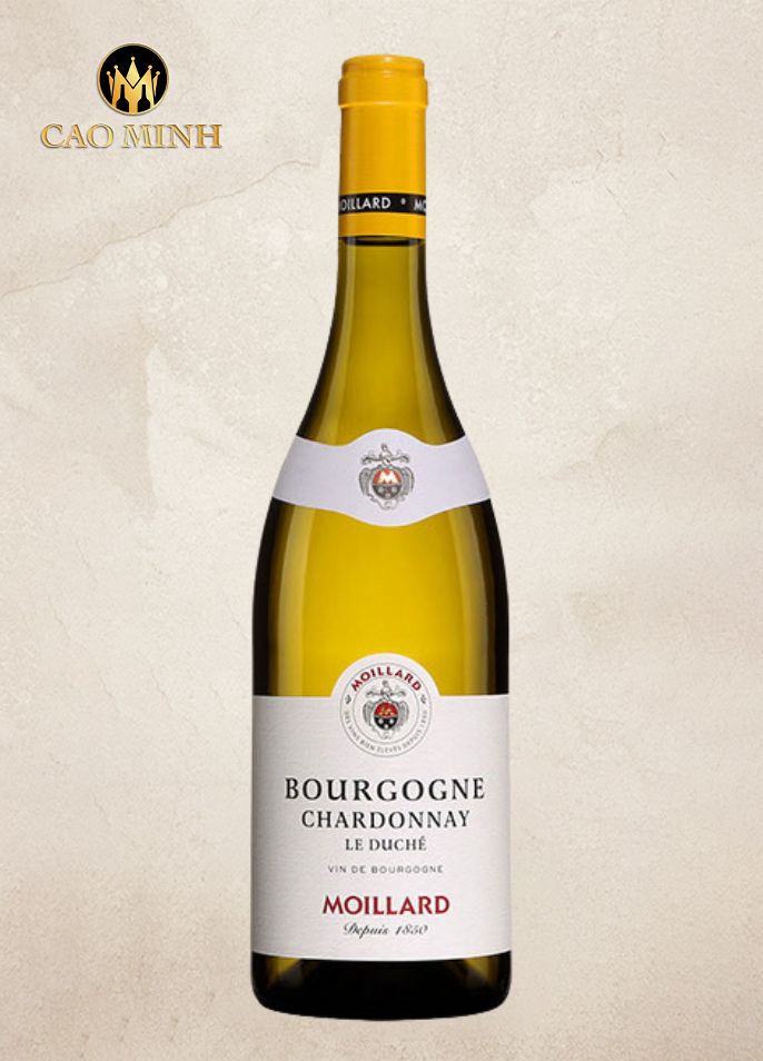 Rượu Vang Pháp Moillard Bourgogne Chardonnay