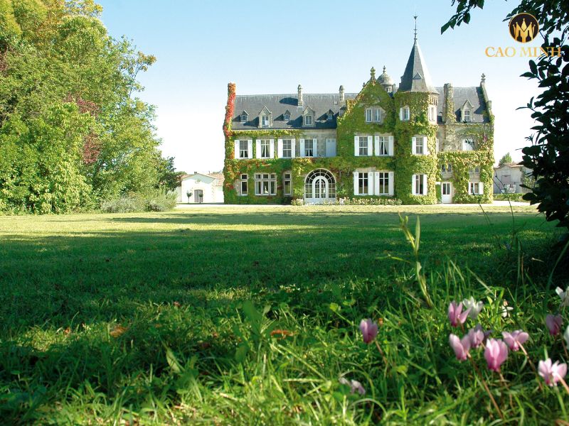 Tìm hiểu về Chateau Lascombes - Nhà làm vang hàng đầu của vùng Margaux, Pháp 