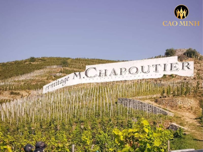 Rượu Vang Pháp M. Chapoutier Belleruche Rouge