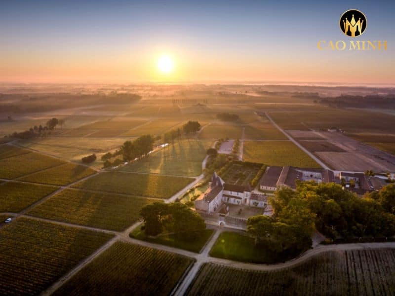 Château d’Yquem