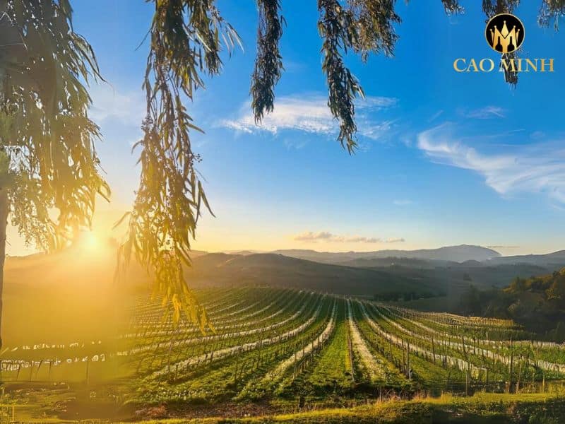 Tasca d'Almerita Regaleali Lamùri Nero d'Avola
