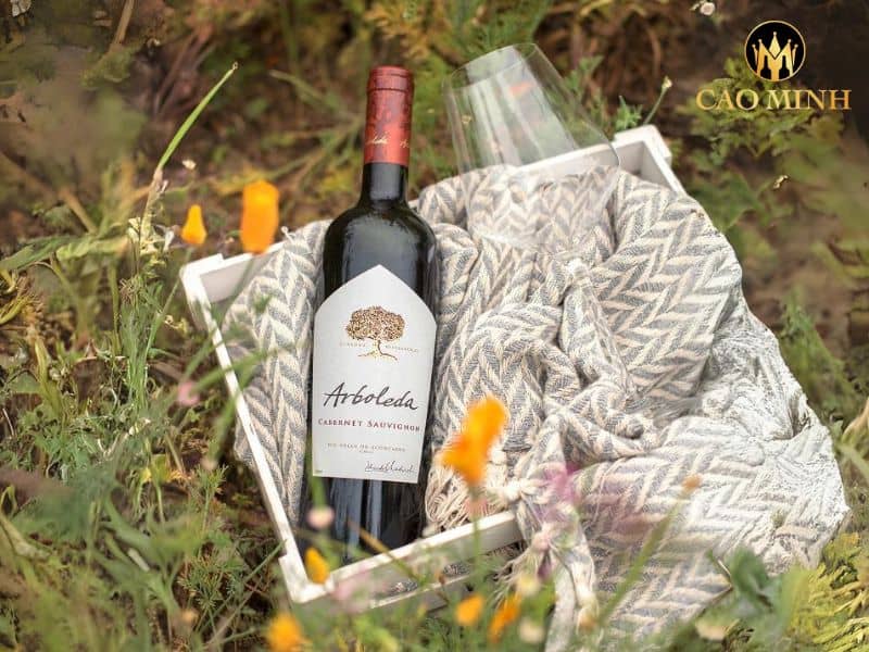 Arboleda Cabernet Sauvignon