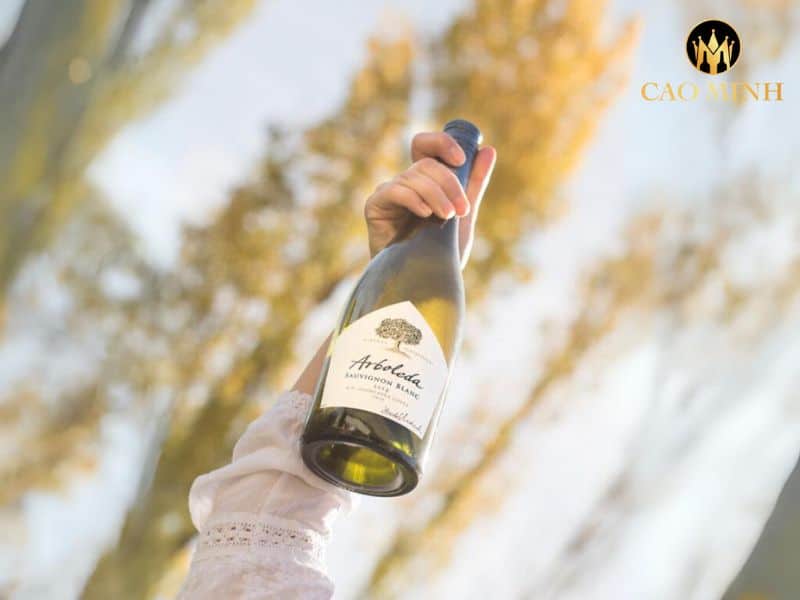 Arboleda Sauvignon Blanc