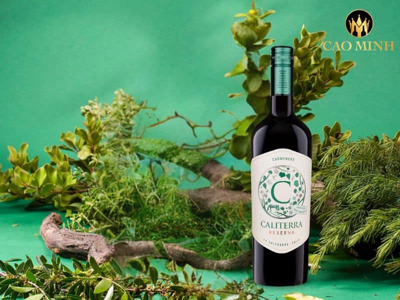 Caliterra Reserva Carmenere