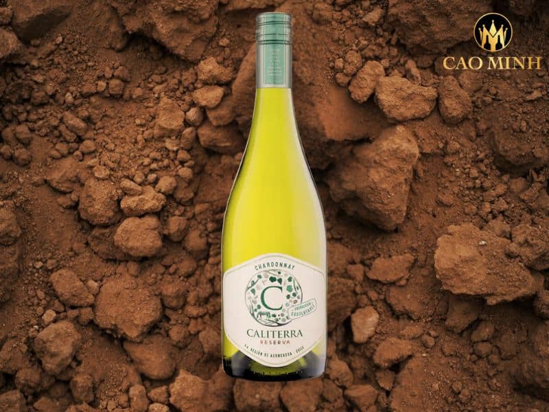 Caliterra Reserva Chardonnay