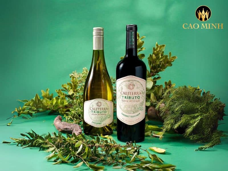 Caliterra Tributo Gran Reserva Single Vineyard Chardonnay