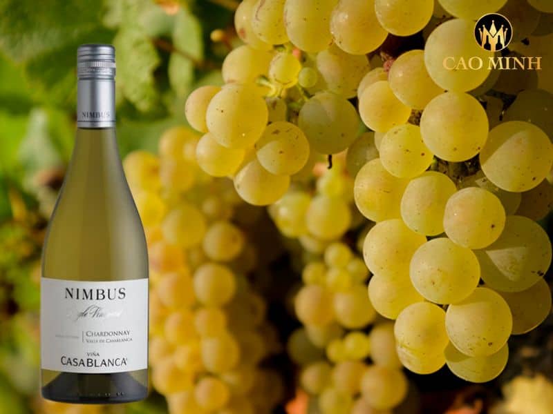 Casablanca Nimbus Single Vineyard Chardonnay