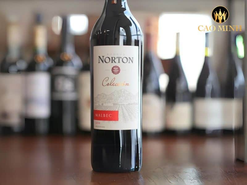 Norton Coleccion Malbec