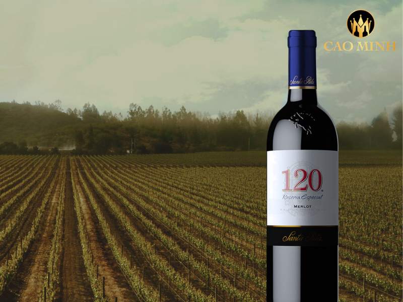 Santa Rita 120 Special Reserva Merlot