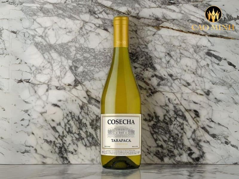 Tarapaca Cosecha Chardonnay