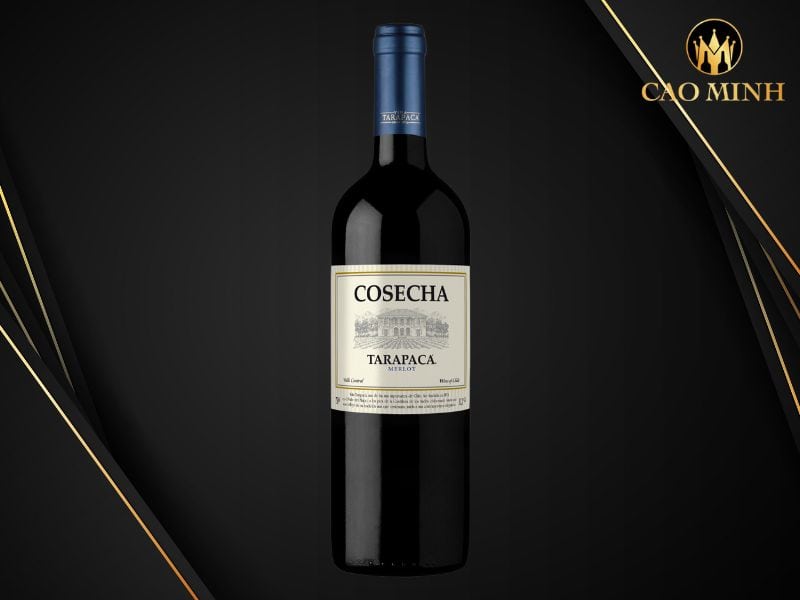 Tarapaca Cosecha Merlot