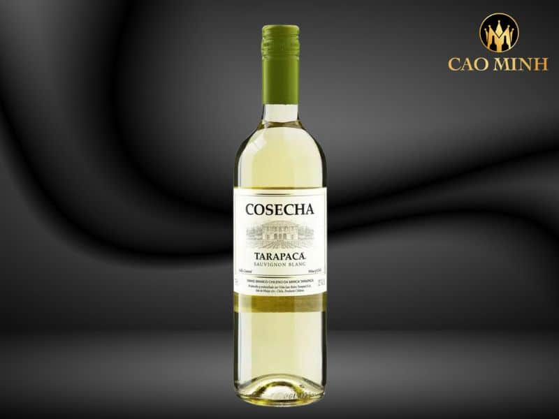 Tarapaca Cosecha Sauvignon Blanc