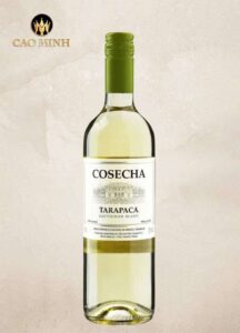 Rượu Vang Chile Tarapaca Cosecha Sauvignon Blanc