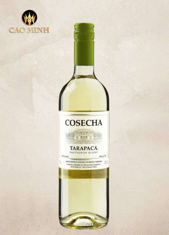 Rượu Vang Chile Tarapaca Cosecha Sauvignon Blanc