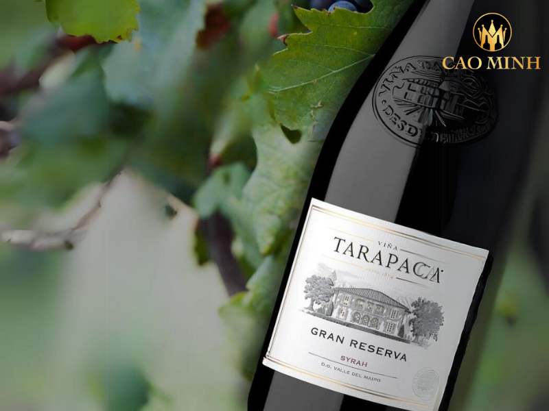 Tarapaca Gran Reserva Syrah