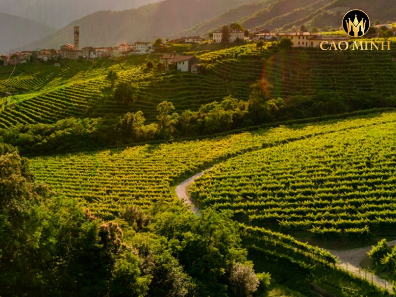 Bisol Cru Cartizze Prosecco
