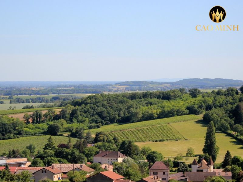 Cave de Lugny Macon-Lugny Eugene Blanc