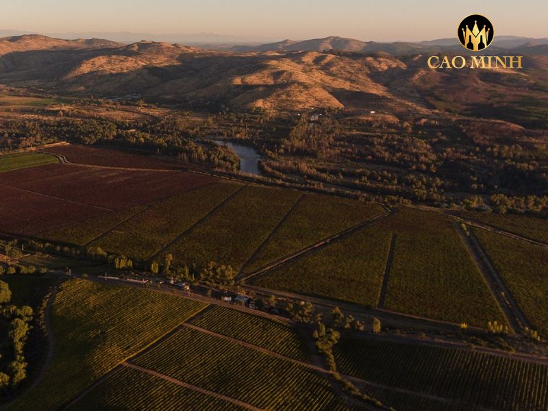 Điền trang của Concha y Toro
