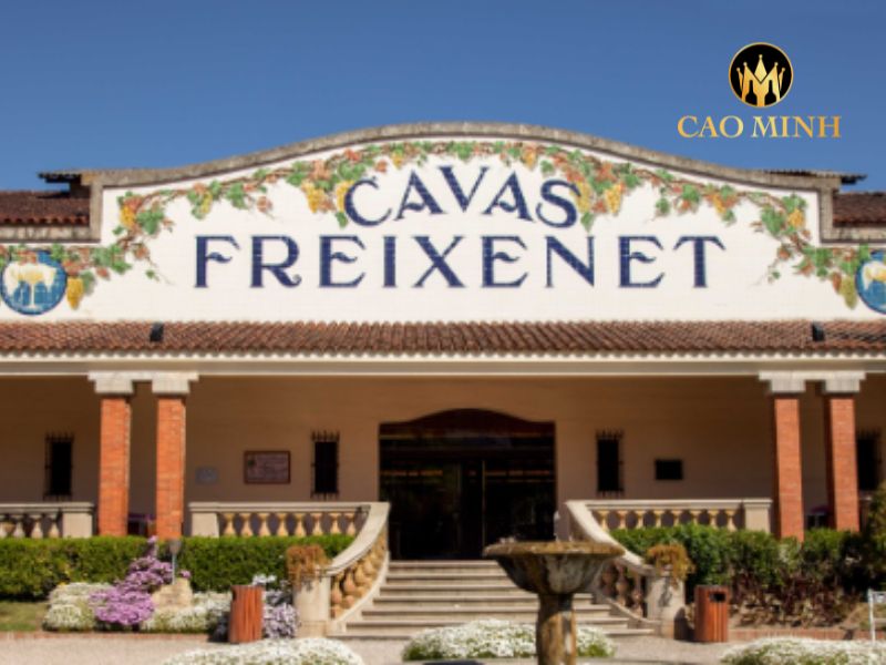 Freixenet Sauvignon Blanc Spanish Wine Collection